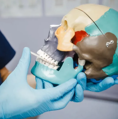 [А. Максимов] Мышечно-фасциальная терапия дисфункц_0.png